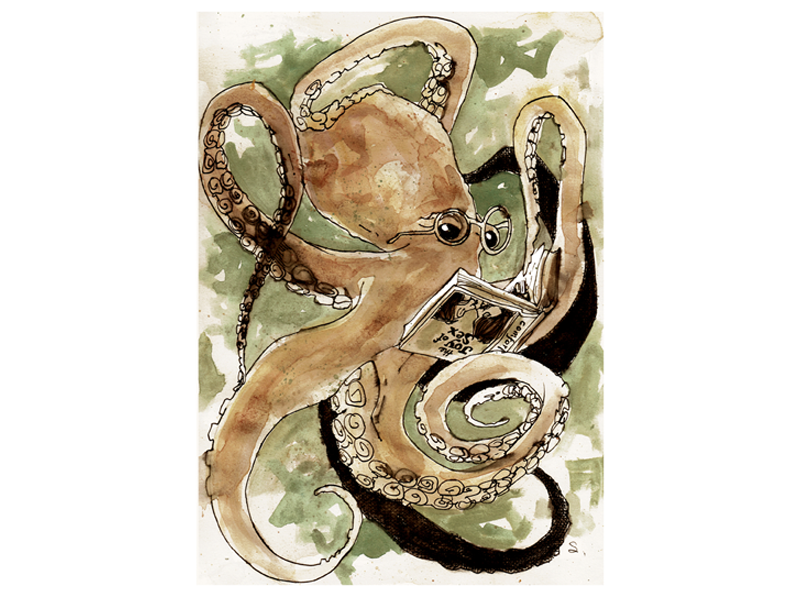 Octopus